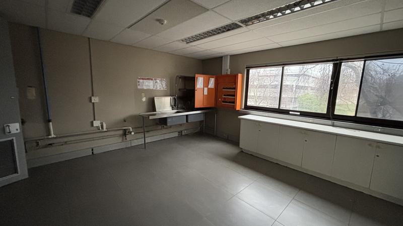 To Let commercial Property for Rent in Pinelands Western Cape